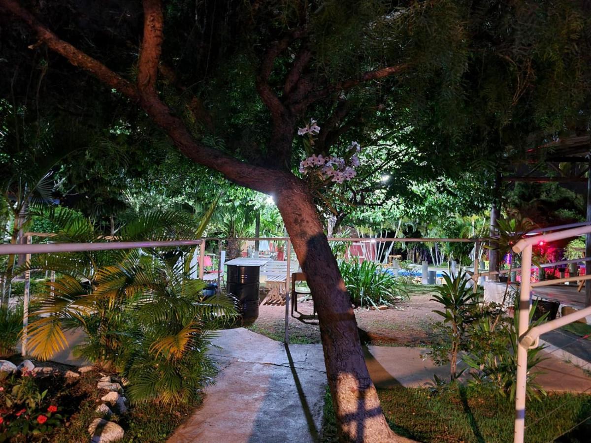 Quintal Estrelas *